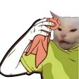 Emoji suecat