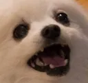 Emoji aaaa