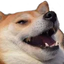 Emoji bdog