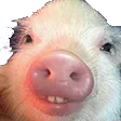 Emoji bpig