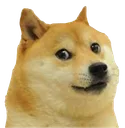 Emoji doge_uncomfortable