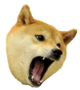 Emoji doge_attac