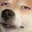 Emoji dog