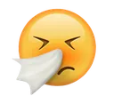 Emoji Sneezing_Face
