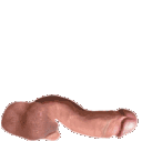 Emoji 560665269664481283