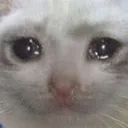 Emoji catto