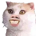 Emoji chaaaaaaaat