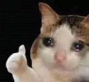 Emoji cryingcat