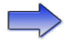Emoji _nitro_fleche_clignote