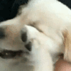 Emoji ItemCute