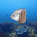 Emoji ItemBubulleEau
