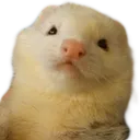 Emoji ItemWeirdFuret