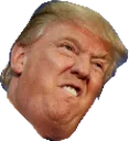 Emoji trump