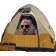Emoji camper