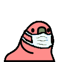 Emoji RainbowParrotCovid