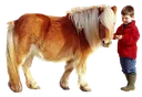 Emoji poney