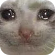 Emoji crying_cat