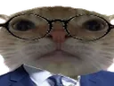 Emoji intello