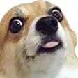 Emoji nani