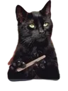 Emoji cat_bored