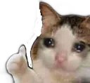 Emoji sadcatok