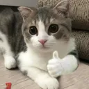 Emoji emoji_11