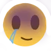 Emoji broken