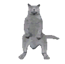Emoji DancingCat