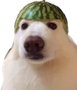 Emoji ouaf
