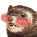 Emoji cute1