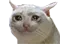 Emoji chat5