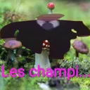 Emoji champi