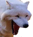Emoji Wheeze