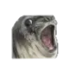 Emoji OMG