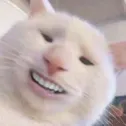 Emoji chat7