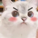 Emoji chat8