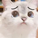 Emoji chat9