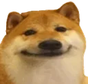 Emoji shib