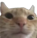 Emoji oulafrr