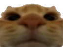 Emoji chat