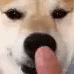 Emoji ShibaNoz