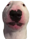 Emoji chien30