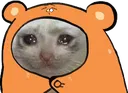 Emoji catbroken