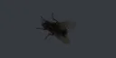 Emoji mouchesurlcran