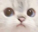 Emoji catweird