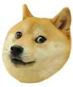 Emoji dog