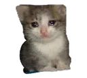 Emoji cat3