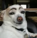Emoji eheh