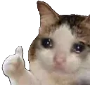 Emoji potichat