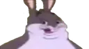 Emoji BIGCHUNGUS